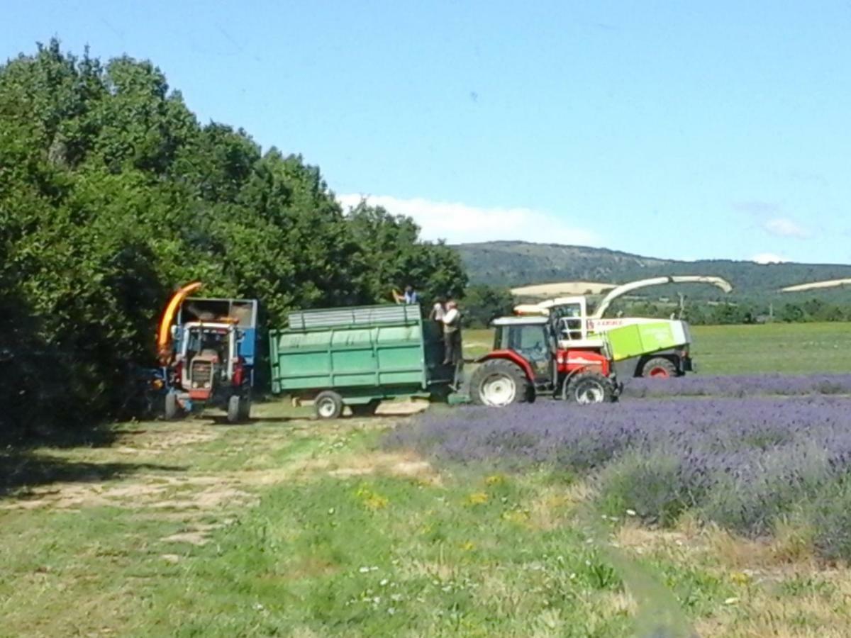 Chambre Pour Cyclistes Au Mt Ventoux Le Barroux Ngoại thất bức ảnh